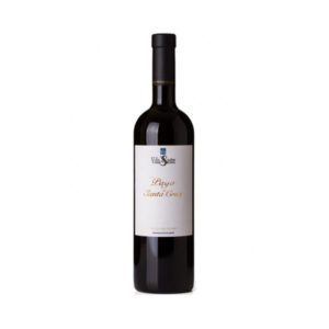 pago-santa-cruz-vina-sastre-2022-comprar-vinos-de-ribera-del-duero-online